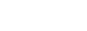 Femme de Ménage Lyon 2